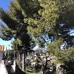 Hotel Eden Cassis - Centre-Ville- Piscine Chauffee, Jacuzzi Et Sauna - Parking Prive Cassis