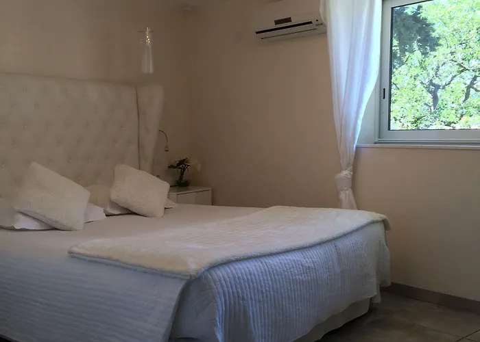 Eden - Centre-ville- Piscine Chauffée, Jacuzzi Et Sauna - Parking Privé